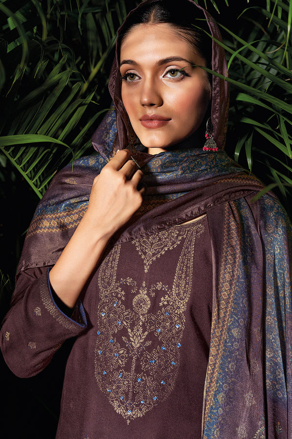 Sarang Pure Meena Woven Pashmina Salwar Suit Design