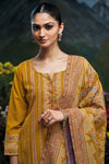 Premium Pure Pashmina Jacquard Salwar Suits