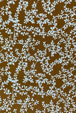 Golden Brown All Over Flowers Printed Pure Cotton Fabric