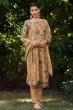 Winter Waves Pashmina Salwar Suit Design 545